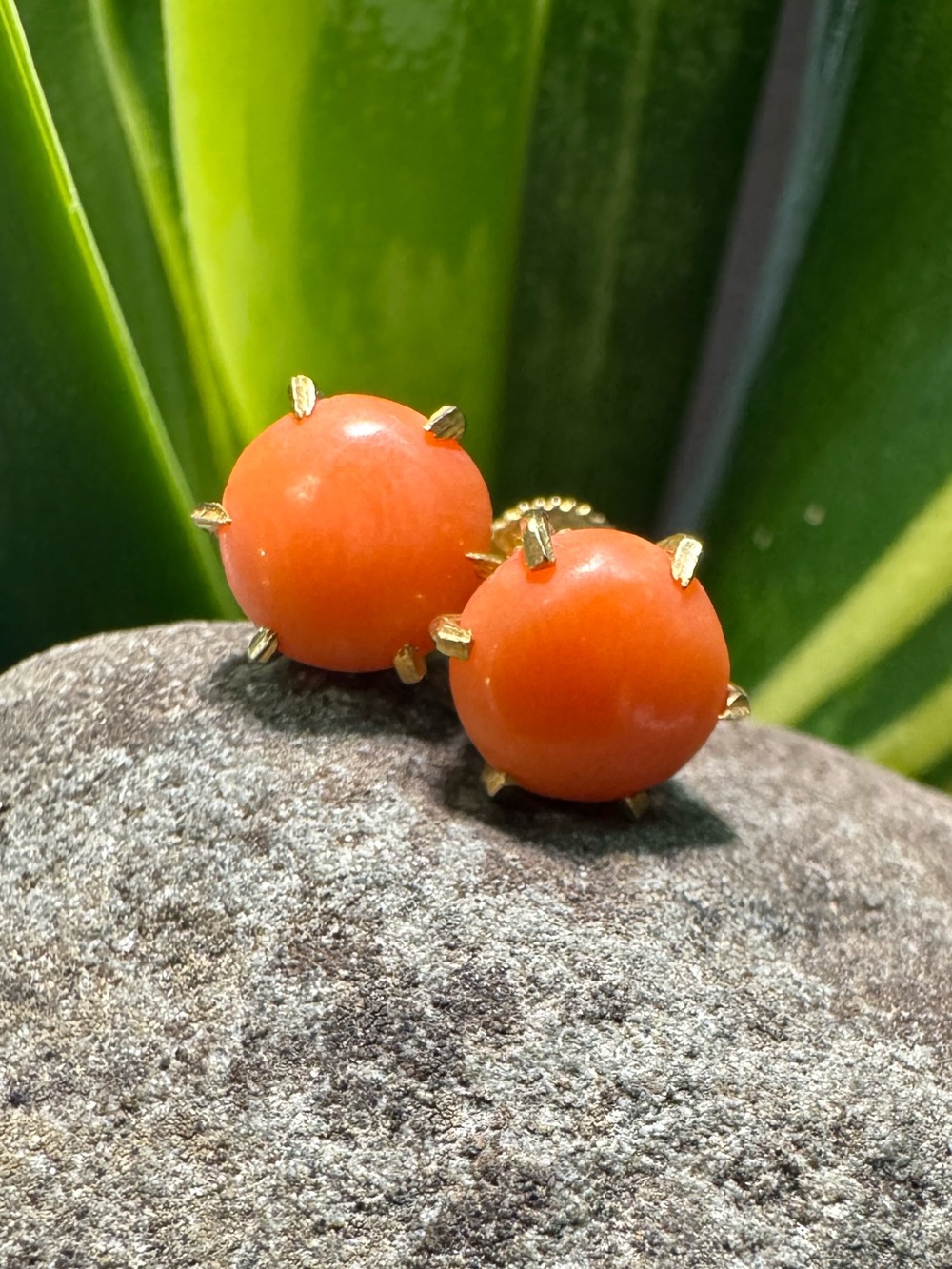 14k Vintage Coral Earrings